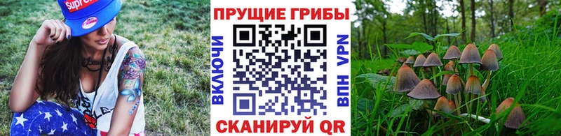 Псилоцибиновые грибы мухоморы купить наркотик Тимашёвск